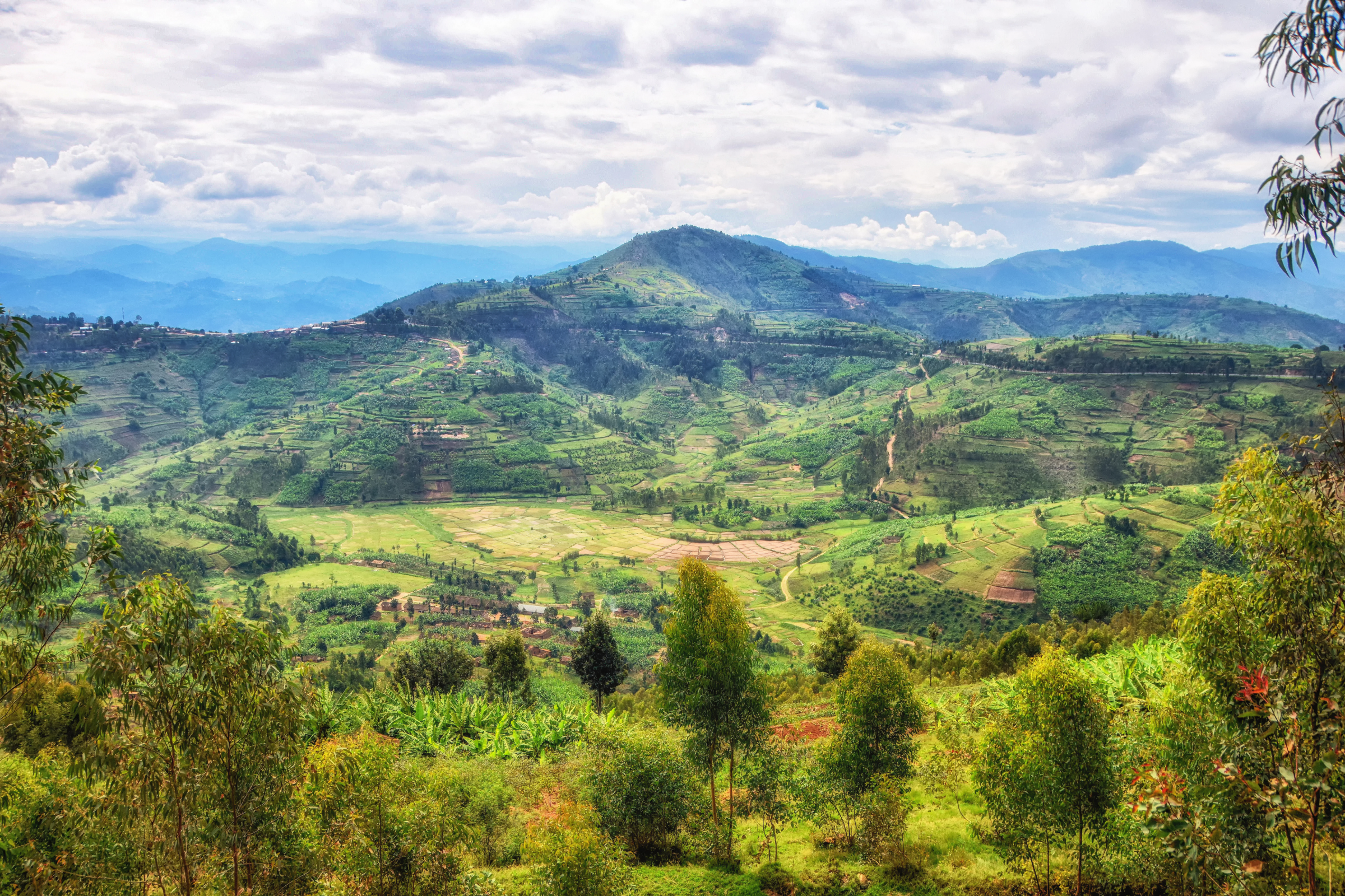 musanze (2).webp